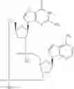Fig. 960 - Cyclic di-nucleotide compounds as STING agonists