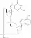 Fig. 962 - Cyclic di-nucleotide compounds as STING agonists