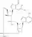 Fig. 964 - Cyclic di-nucleotide compounds as STING agonists