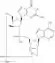 Fig. 965 - Cyclic di-nucleotide compounds as STING agonists