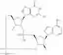Fig. 967 - Cyclic di-nucleotide compounds as STING agonists