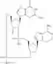 Fig. 968 - Cyclic di-nucleotide compounds as STING agonists