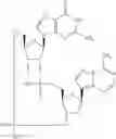 Fig. 970 - Cyclic di-nucleotide compounds as STING agonists