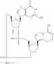 Fig. 971 - Cyclic di-nucleotide compounds as STING agonists