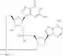 Fig. 972 - Cyclic di-nucleotide compounds as STING agonists