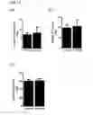 Fig. 12 - Sialyltransferase inhibitors and uses thereof