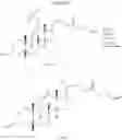 Fig. 144 - Sialyltransferase inhibitors and uses thereof