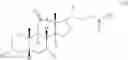 Fig. 19 - Sialyltransferase inhibitors and uses thereof