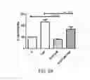 Fig. 09 - Protoescigenin derivative, process of its preparation, use of said compound and pharmaceutical composition comprising that compound
