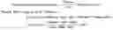 Fig. 02 - Protein purification