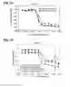 Fig. 04 - Cytotoxic peptides and conjugates thereof