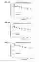 Fig. 12 - Cytotoxic peptides and conjugates thereof