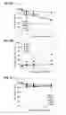 Fig. 14 - Cytotoxic peptides and conjugates thereof
