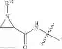 Fig. 19 - Cytotoxic peptides and conjugates thereof