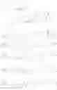 Fig. 288 - Cytotoxic peptides and conjugates thereof