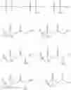 Fig. 335 - Cytotoxic peptides and conjugates thereof