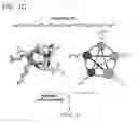 Fig. 03 - Foldamer helix bundle-based molecular encapsulation