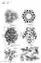 Fig. 05 - Foldamer helix bundle-based molecular encapsulation