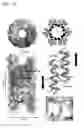Fig. 06 - Foldamer helix bundle-based molecular encapsulation