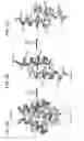 Fig. 08 - Foldamer helix bundle-based molecular encapsulation