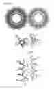 Fig. 11 - Foldamer helix bundle-based molecular encapsulation