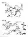 Fig. 13 - Foldamer helix bundle-based molecular encapsulation