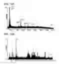 Fig. 25 - Foldamer helix bundle-based molecular encapsulation