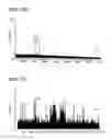 Fig. 28 - Foldamer helix bundle-based molecular encapsulation