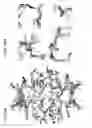 Fig. 57 - Foldamer helix bundle-based molecular encapsulation