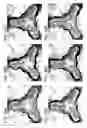 Fig. 58 - Foldamer helix bundle-based molecular encapsulation
