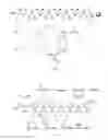 Fig. 04 - γ-AA-peptide STAT3/DNA inhibitors and methods of use
