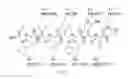 Fig. 08 - γ-AA-peptide STAT3/DNA inhibitors and methods of use
