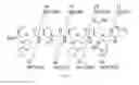 Fig. 10 - γ-AA-peptide STAT3/DNA inhibitors and methods of use