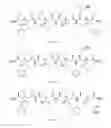 Fig. 13 - γ-AA-peptide STAT3/DNA inhibitors and methods of use
