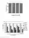 Fig. 19 - γ-AA-peptide STAT3/DNA inhibitors and methods of use