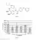 Fig. 20 - γ-AA-peptide STAT3/DNA inhibitors and methods of use