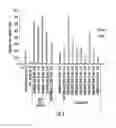 Fig. 05 - Targeted delivery system and methods of use therefor