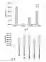 Fig. 12 - Targeted delivery system and methods of use therefor