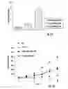 Fig. 16 - Targeted delivery system and methods of use therefor