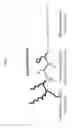 Fig. 02 - Heme peptide materials for anti-inflammatory regenerative nanobiomedicine