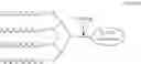 Fig. 06 - POLYPEPTIDE COMPOUND AND PREPARATION METHOD AND USE THEREOF