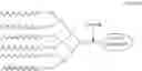 Fig. 16 - POLYPEPTIDE COMPOUND AND PREPARATION METHOD AND USE THEREOF