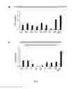 Fig. 04 - Fusion Protein