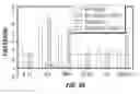 Fig. 05 - CAPSID-MODIFIED RAAV VECTOR COMPOSITIONS HAVING IMPROVED TRANSDUCTION EFFICIENCIES, AND METHODS OF USE