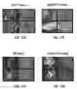 Fig. 21 - CAPSID-MODIFIED RAAV VECTOR COMPOSITIONS HAVING IMPROVED TRANSDUCTION EFFICIENCIES, AND METHODS OF USE
