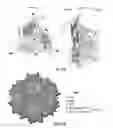 Fig. 27 - CAPSID-MODIFIED RAAV VECTOR COMPOSITIONS HAVING IMPROVED TRANSDUCTION EFFICIENCIES, AND METHODS OF USE