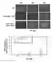 Fig. 41 - CAPSID-MODIFIED RAAV VECTOR COMPOSITIONS HAVING IMPROVED TRANSDUCTION EFFICIENCIES, AND METHODS OF USE