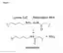 Fig. 03 - Methods and products for fusion protein synthesis