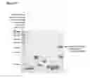 Fig. 18 - Methods and products for fusion protein synthesis