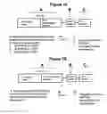 Fig. 08 - Compositions and methods for treatment of pain